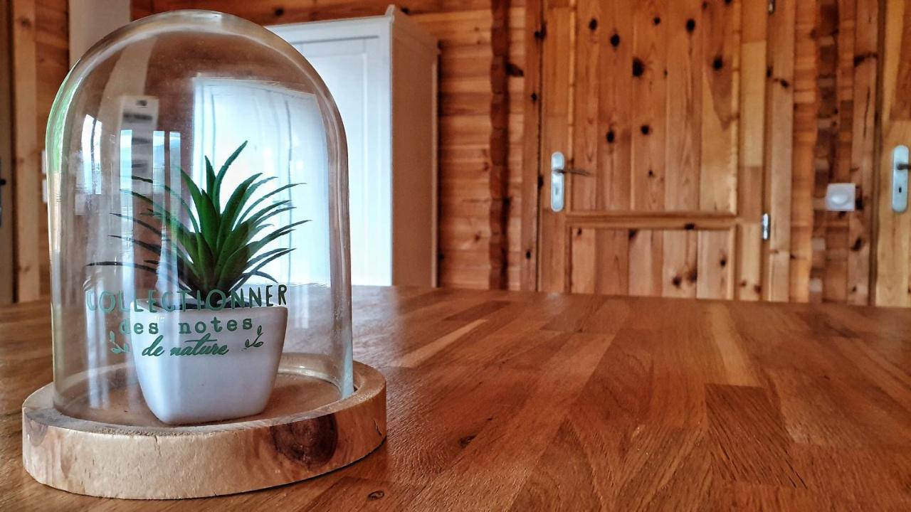 Le Chalet Jacuzzi Et Detente 4 Etoiles Bagneres-de-Bigorre Ngoại thất bức ảnh