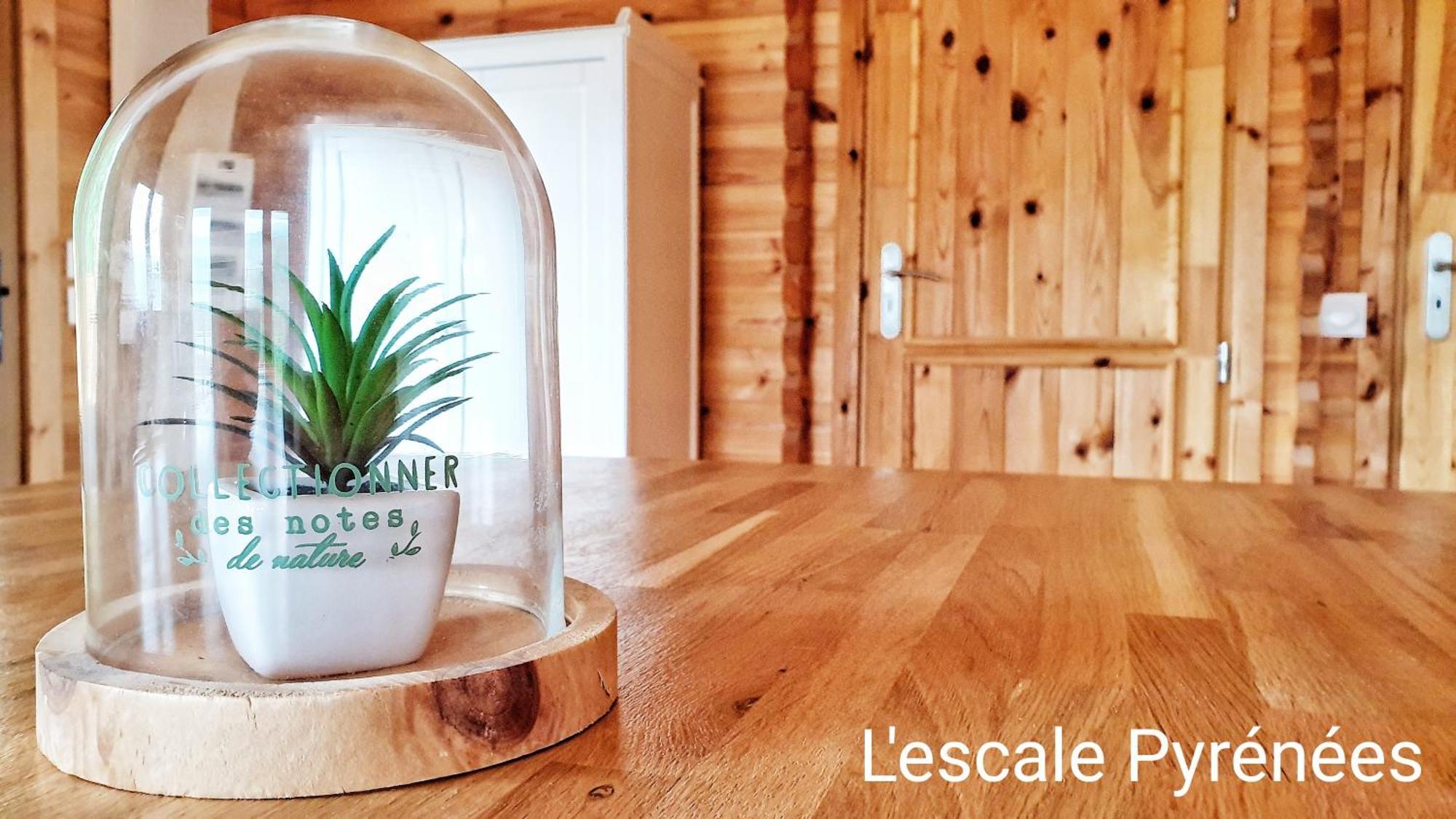 Le Chalet Jacuzzi Et Detente 4 Etoiles Bagneres-de-Bigorre Ngoại thất bức ảnh